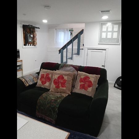 "Cozy Basement Retreat Just 40 Minutes To Nyc!" Lejlighed Irvington Eksteriør billede