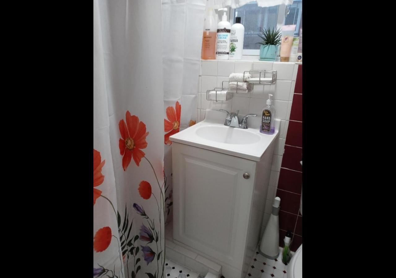 "Cozy Basement Retreat Just 40 Minutes To Nyc!" Lejlighed Irvington Eksteriør billede
